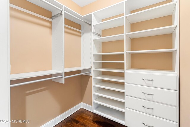 7 Rodeo Ct, Howell, NJ 07731 - walk in closet with dark wood finished floors