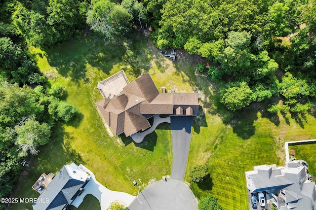 7 Rodeo Ct, Howell, NJ 07731 - drone / aerial view
