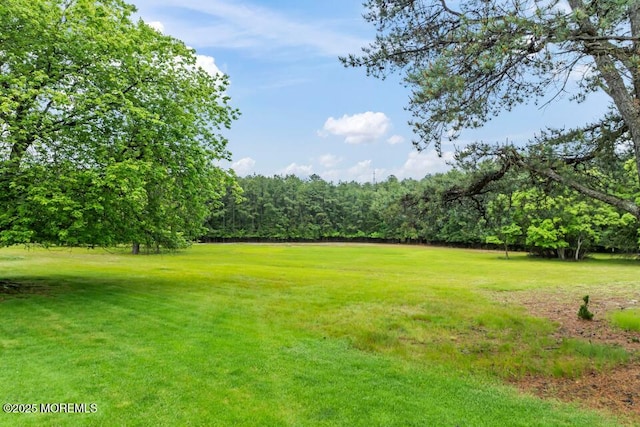 3 Shaw Ct, Toms River, NJ 08757 - view of grassy yard