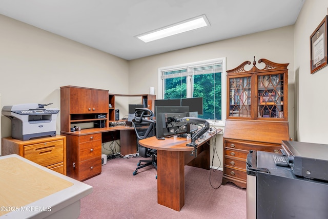 25 Canadian Woods Rd, Marlboro, NJ 07746 - office space with carpet floors