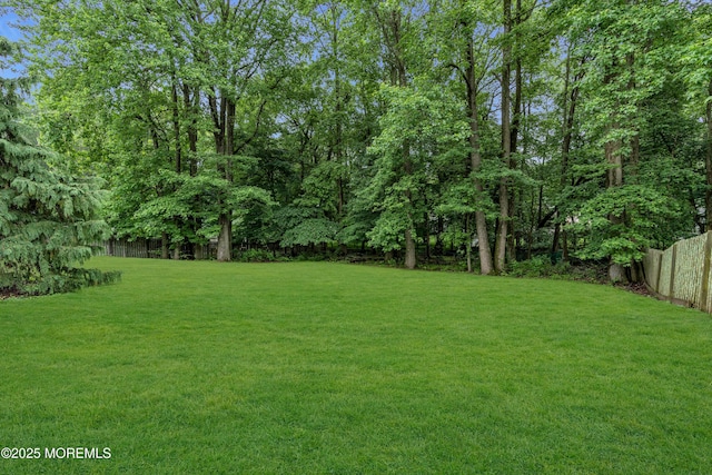 25 Canadian Woods Rd, Marlboro, NJ 07746 - view of fenced backyard