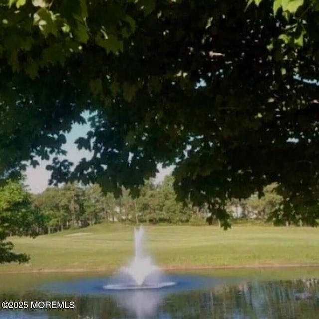 42 Eagleswood Dr, Waretown, NJ 08758 - water view with a golf club