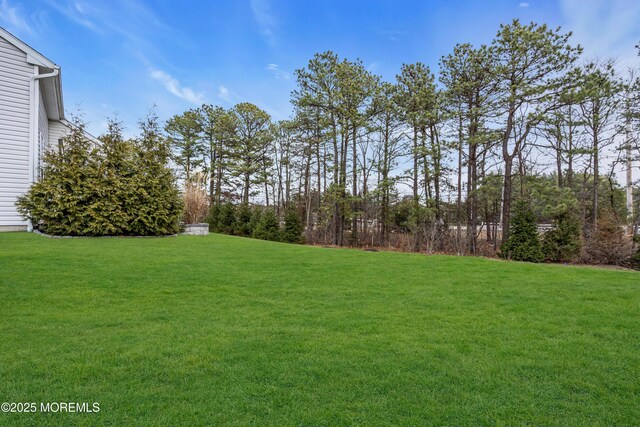 20 Addlestone Ln, Manchester, NJ 08759 - photo 42