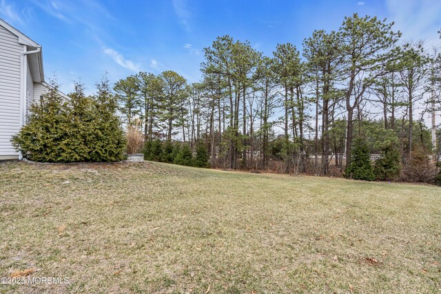 20 Addlestone Ln, Manchester, NJ 08759 - photo 47