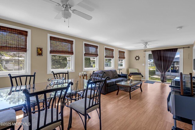 9 Bahamia Dr, Toms River, NJ 08757 - photo 27