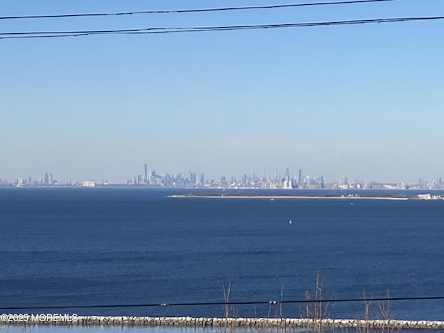193 Ocean Blvd, Atlantic Highlands, NJ 07716 - water view with city skyline