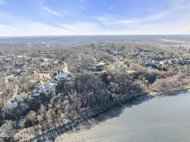 193 Ocean Blvd, Atlantic Highlands, NJ 07716 - aerial view of property's location with a forest