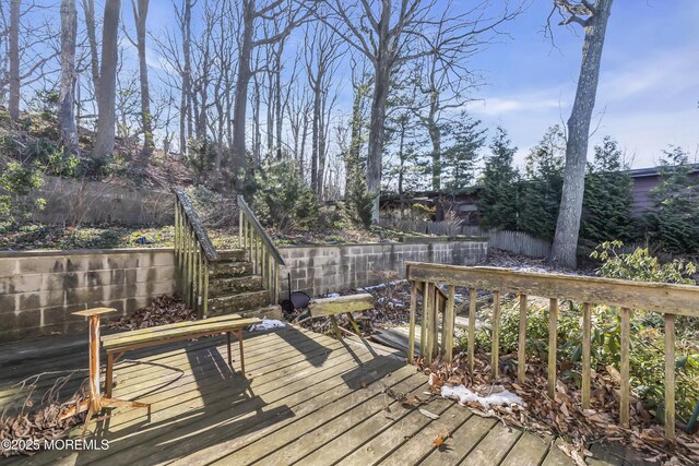 193 Ocean Blvd, Atlantic Highlands, NJ 07716 - deck with stairs