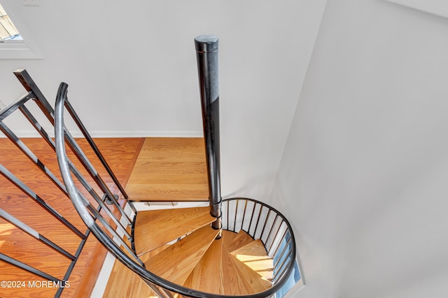 708 New York Blvd, Sea Girt, NJ 08750 - stairs with baseboards and wood finished floors