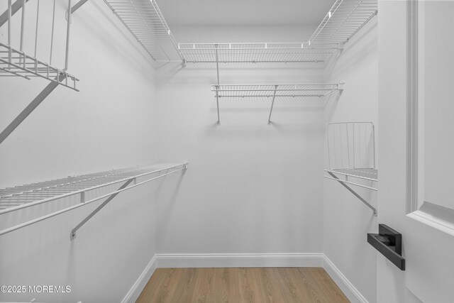 20 Tivoli St, Toms River, NJ 08757 - photo 25