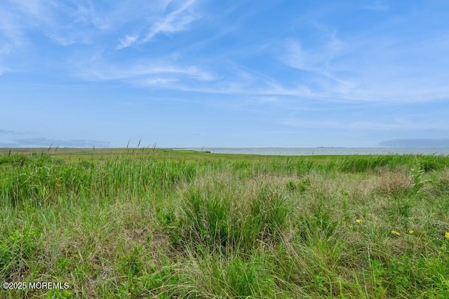 2 Iowa Ct, Little Egg Harbor, NJ 08087 - photo 17