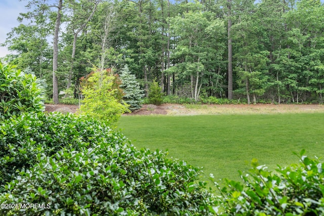 7 Bay Head Ct, Waretown, NJ 08758 - view of green lawn with a forest view
