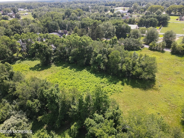 15 Hominy Hill Rd, Colts Neck, NJ 07722