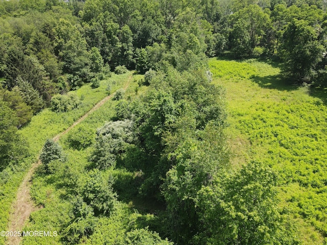15 Hominy Hill Rd, Colts Neck, NJ 07722