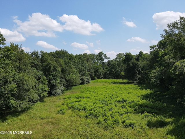 15 Hominy Hill Rd, Colts Neck, NJ 07722