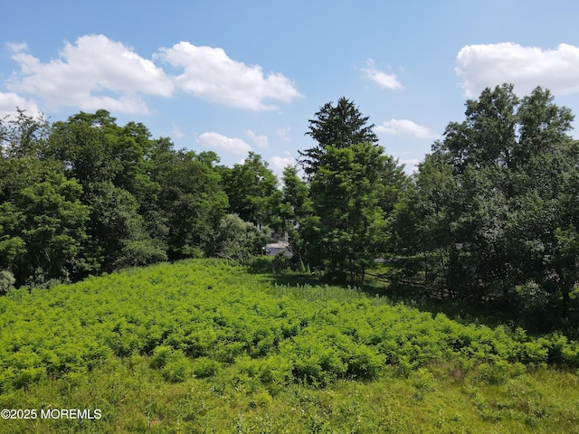 15 Hominy Hill Rd, Colts Neck, NJ 07722