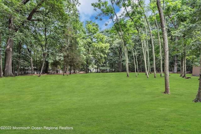 716 Hyson Rd, Jackson, NJ 08527 - view of property's community with a lawn