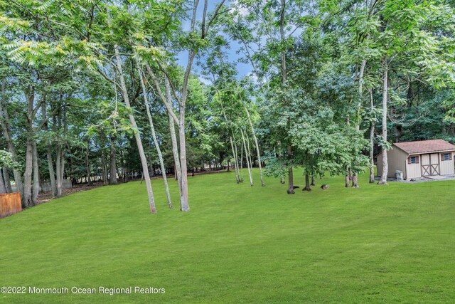 716 Hyson Rd, Jackson, NJ 08527 - view of yard featuring an outbuilding