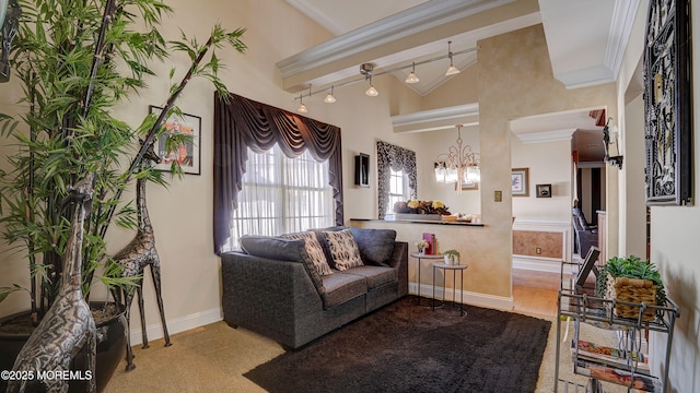 44 Kentucky Way, Freehold, NJ 07728 - living area with track lighting, a chandelier, and crown molding