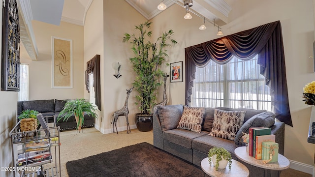 44 Kentucky Way, Freehold, NJ 07728 - living room with crown molding and carpet floors