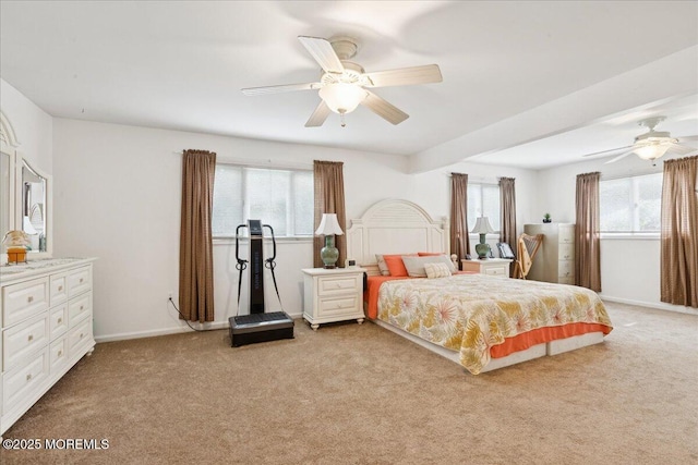 444 Cook Rd, Jackson, NJ 08527 - bedroom with light colored carpet and a ceiling fan