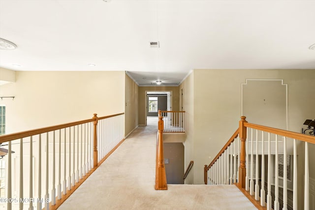 9 Denise Dr, Allentown, NJ 08501 - photo 32