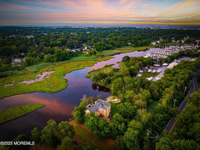 199-203 Lake Ave, Island Heights, NJ 08732 - bird's eye view of a large body of water