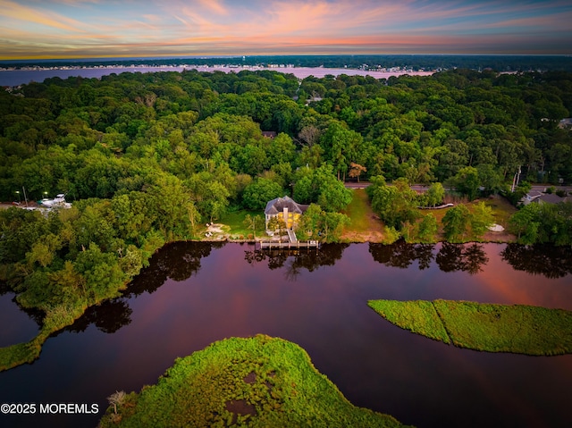 199-203 Lake Ave, Island Heights, NJ 08732 - aerial view of property and surrounding area with a heavily wooded area and a nearby body of water