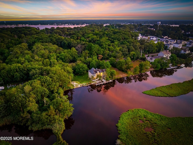 199-203 Lake Ave, Island Heights, NJ 08732 - aerial view at dusk of a water view and a wooded view