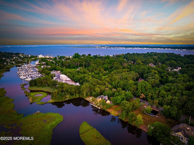 199-203 Lake Ave, Island Heights, NJ 08732 - aerial view at dusk of a water view and a forest view