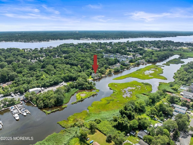 199-203 Lake Ave, Island Heights, NJ 08732 - bird's eye view of a nearby body of water