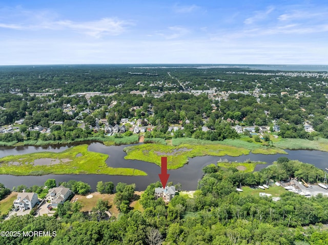 199-203 Lake Ave, Island Heights, NJ 08732 - aerial overview of property's location featuring a large body of water