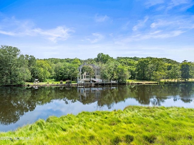 199-203 Lake Ave, Island Heights, NJ 08732 - water view with a heavily wooded area