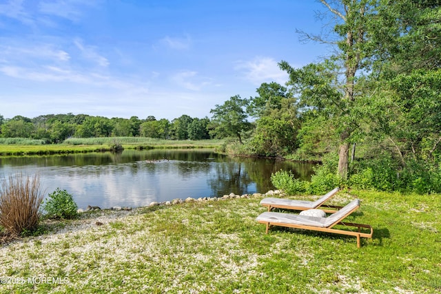 199-203 Lake Ave, Island Heights, NJ 08732 - water view featuring a forest