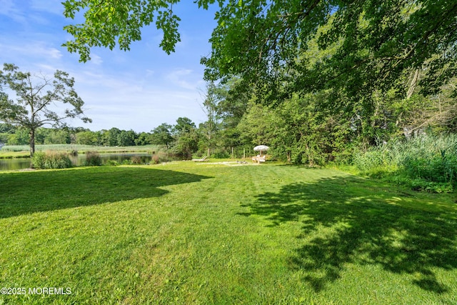 199-203 Lake Ave, Island Heights, NJ 08732 - view of grassy yard with a water view