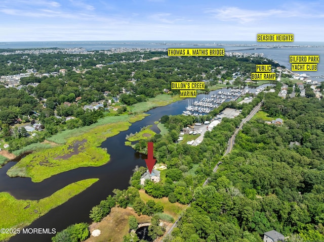 199-203 Lake Ave, Island Heights, NJ 08732 - aerial view of a nearby body of water