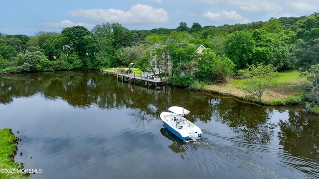 199-203 Lake Ave, Island Heights, NJ 08732 - dock with a view of trees and a water view