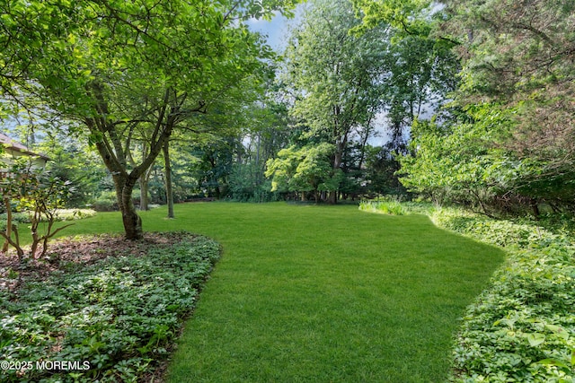 22 Hunt Rd, Freehold, NJ 07728 - view of grassy yard