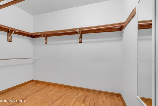 22 Hunt Rd, Freehold, NJ 07728 - walk in closet featuring light wood-style flooring