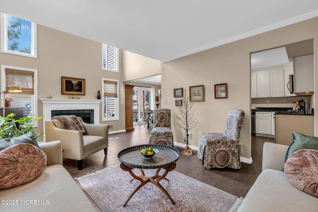 134 Marina Bay Ct, Highlands, NJ 07732 - living area with a fireplace, dark wood-style flooring, and crown molding