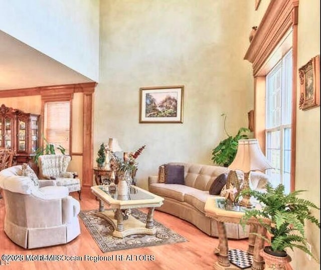 6 Meadow Run Ct, Jackson, NJ 08527 - living room featuring a high ceiling, wood finished floors, and plenty of natural light