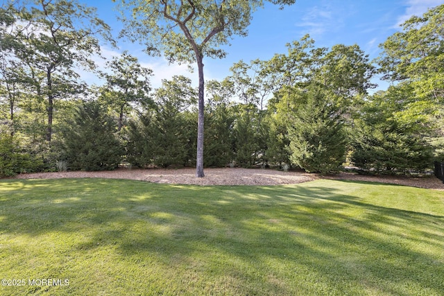 2 Hay Rd, Little Egg Harbor, NJ 08087 - photo 52