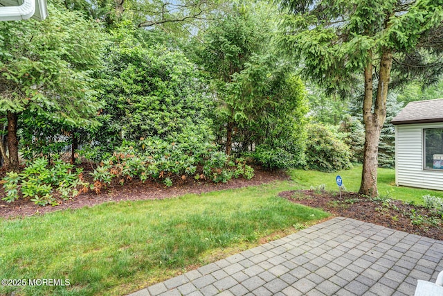 231 Valley Forge Dr, Little Egg Harbor, NJ 08087 - view of grassy yard featuring a patio