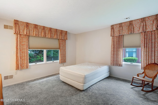 231 Valley Forge Dr, Little Egg Harbor, NJ 08087 - bedroom with carpet floors and baseboards