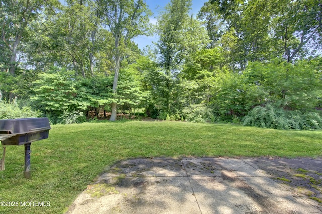 16 Burdge Dr, Howell, NJ 07731 - view of grassy yard with a patio area