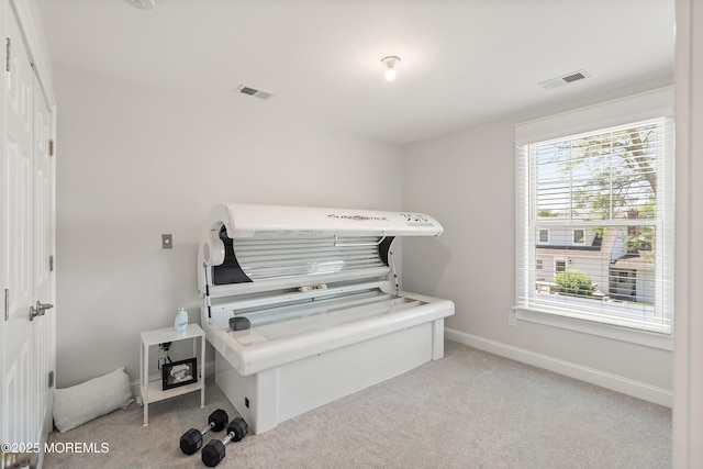 1810 Shore Blvd, Point Pleasant, NJ 08742 - misc room with plenty of natural light and light carpet