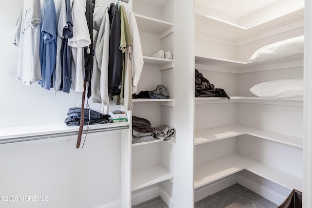 1810 Shore Blvd, Point Pleasant, NJ 08742 - walk in closet featuring carpet
