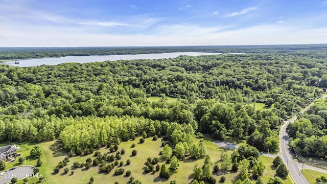 1 Ethan Dr, Farmingdale, NJ 07727 - bird's eye view of a nearby body of water and a forest