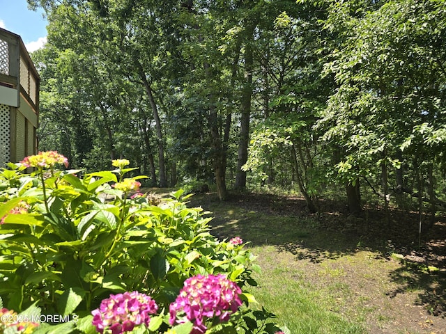 134 Orchid Ct Unit 1304, Toms River, NJ 08753 - photo 5