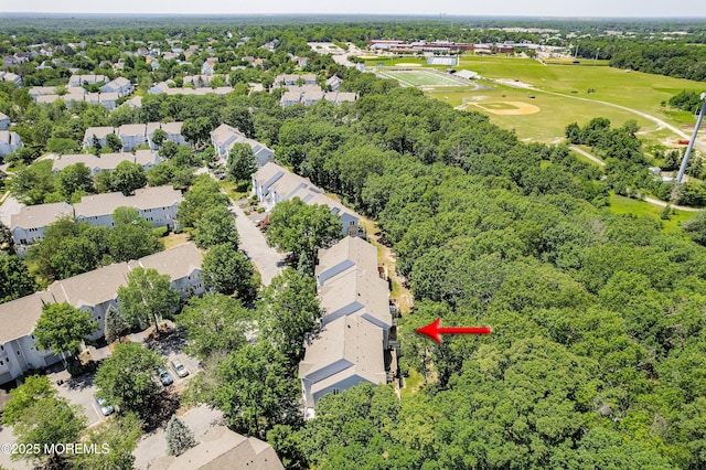 134 Orchid Ct Unit 1304, Toms River, NJ 08753 - photo 12